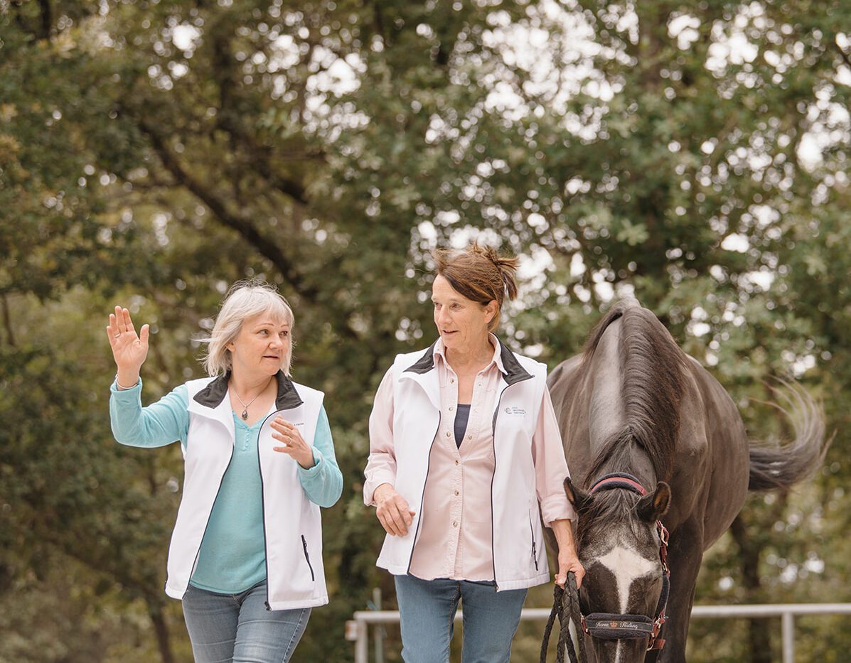 Ecole Facilitation Equine Francophone